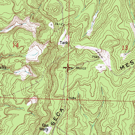 Topographic Map of Laguna Seca Mesa, NM