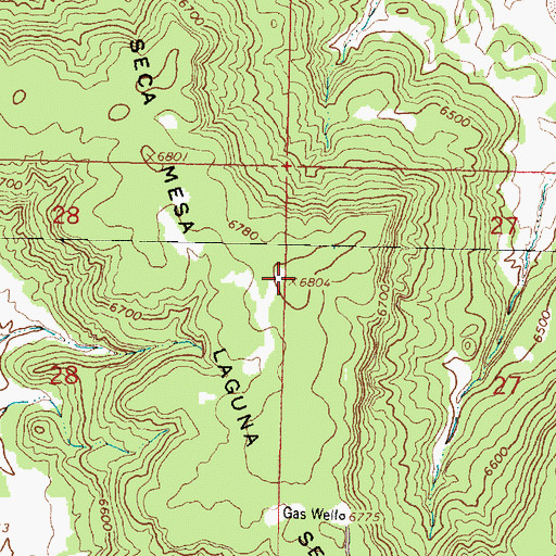 Topographic Map of Laguna Seca Mesa, NM