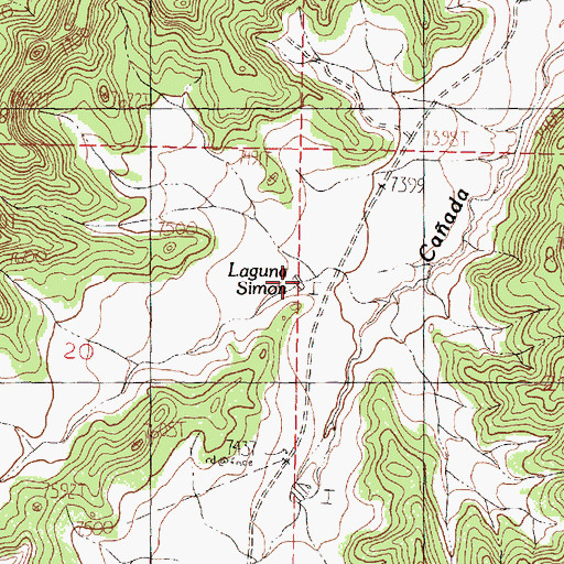 Topographic Map of Laguna Simon, NM