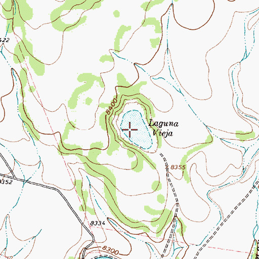 Topographic Map of Laguna Vieja, NM