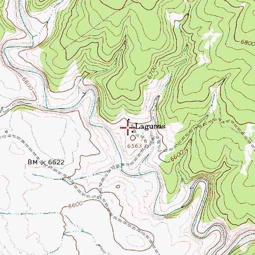 Topographic Map of Lagunas, NM