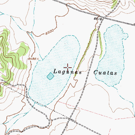 Topographic Map of Lagunas Cuatas, NM