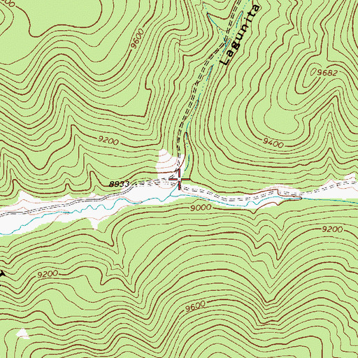 Topographic Map of Lagunita Canyon, NM