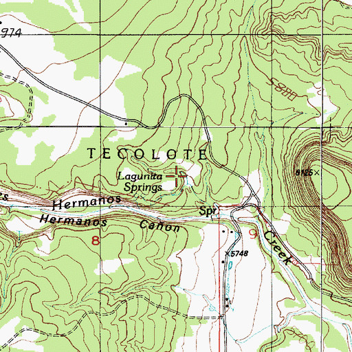 Topographic Map of Lagunita Springs, NM