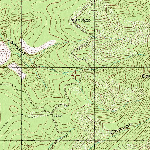 Topographic Map of Lamalone Lodge, NM