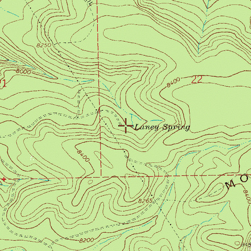 Topographic Map of Laney Spring, NM