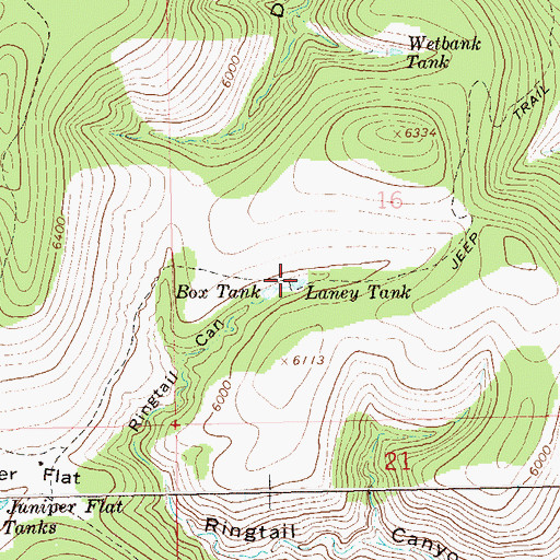 Topographic Map of Laney Tank, NM