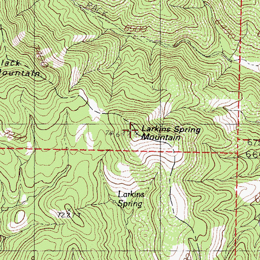 Topographic Map of Larkins Spring Mountain, NM