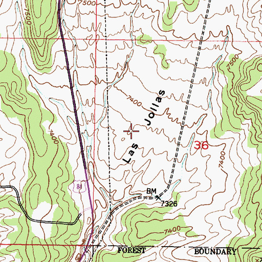 Topographic Map of Las Jollas, NM