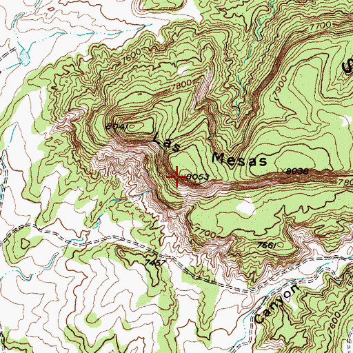 Topographic Map of Las Mesas, NM