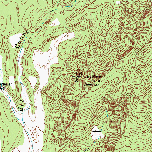 Topographic Map of Las Minas de Pedro, NM