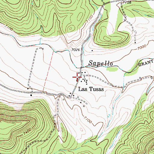 Topographic Map of Las Tusas, NM