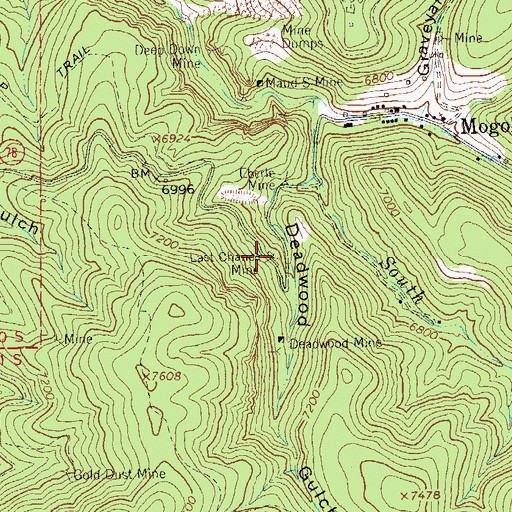 Topographic Map of Last Chance Mine, NM