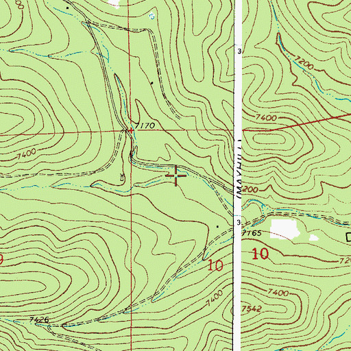 Topographic Map of Latham Canyon, NM