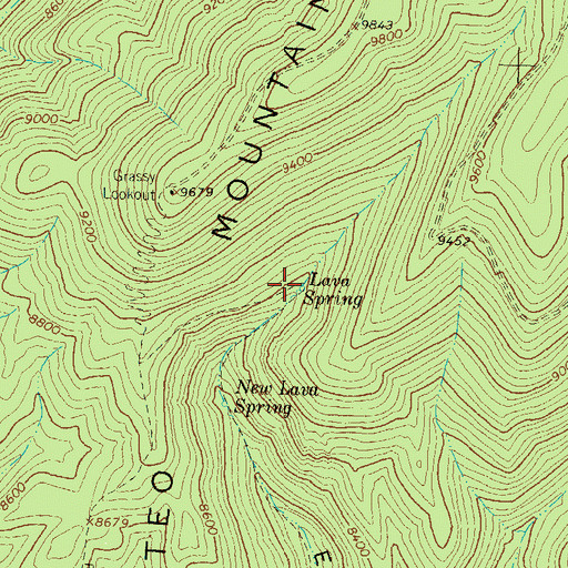 Topographic Map of Lava Spring, NM