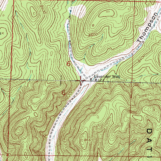 Topographic Map of Lavender Well, NM