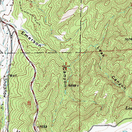 Topographic Map of Leak Canyon, NM