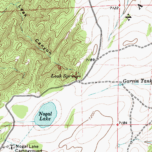 Topographic Map of Leak Spring, NM