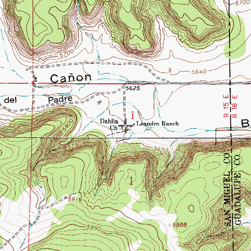 Topographic Map of Leandro Ranch, NM
