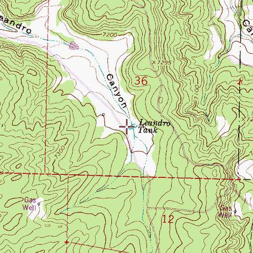 Topographic Map of Leandro Tank, NM