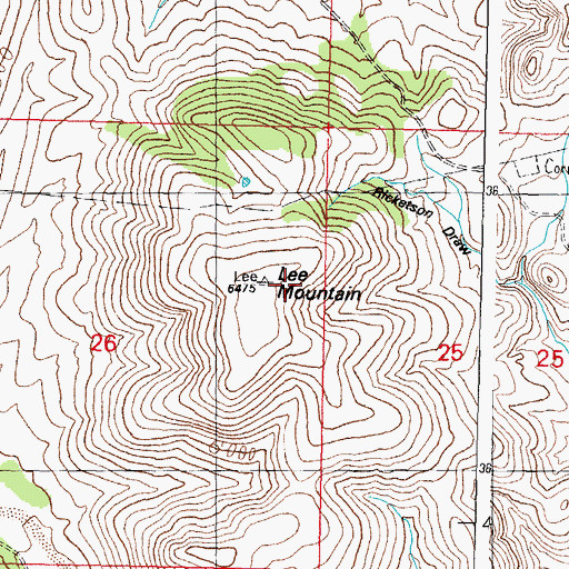 Topographic Map of Lee Mountain, NM