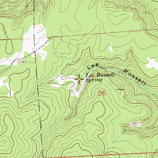 Topographic Map of Lee Russell Spring, NM