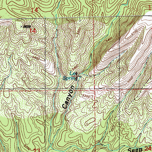 Topographic Map of Lee Spring, NM