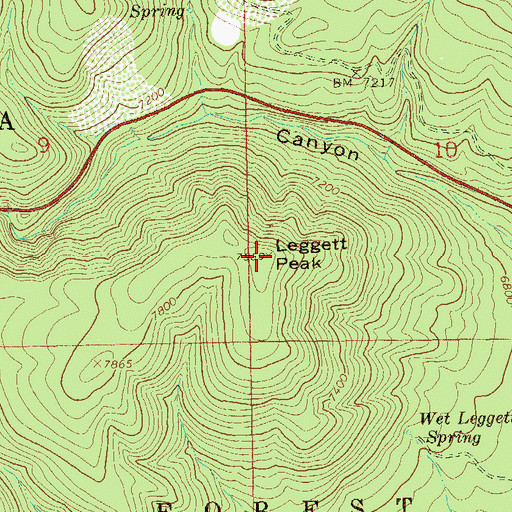 Topographic Map of Leggett Peak, NM
