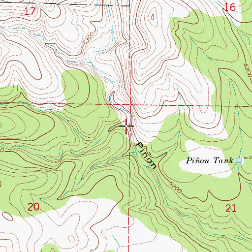 Topographic Map of Lick Canyon, NM