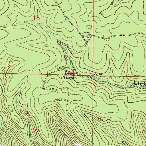 Topographic Map of Lick Tank, NM