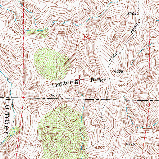 Topographic Map of Lighting Ridge, NM