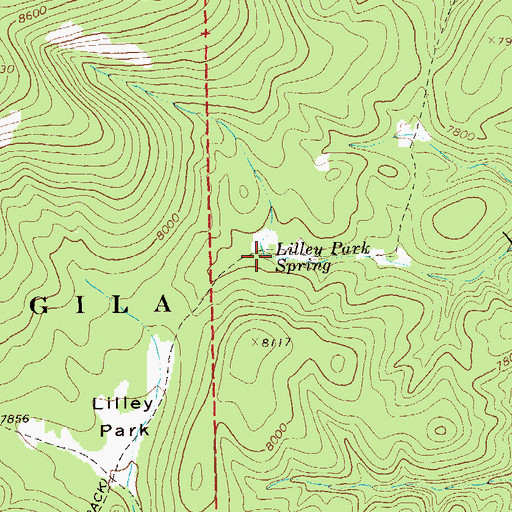 Topographic Map of Lilley Park Spring, NM