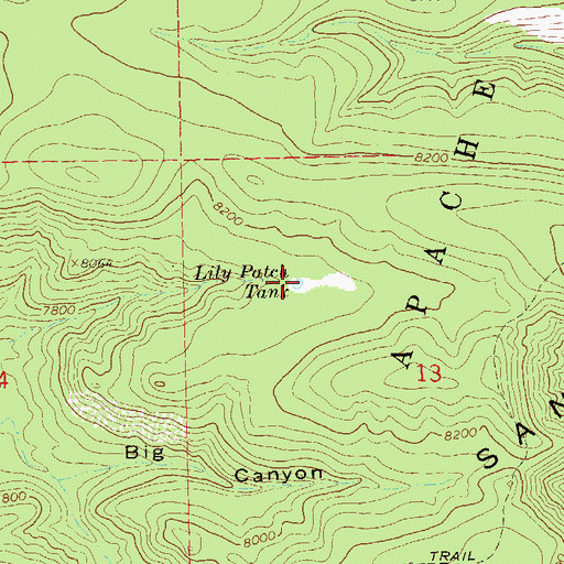 Topographic Map of Lily Patch Tank, NM