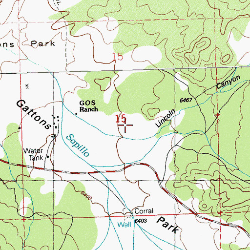 Topographic Map of Lincoln Canyon, NM