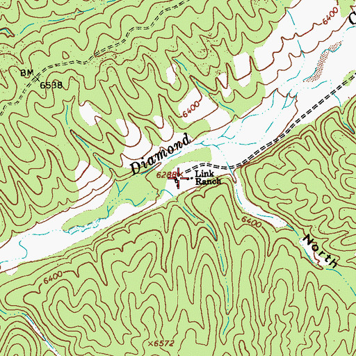 Topographic Map of Link Ranch, NM