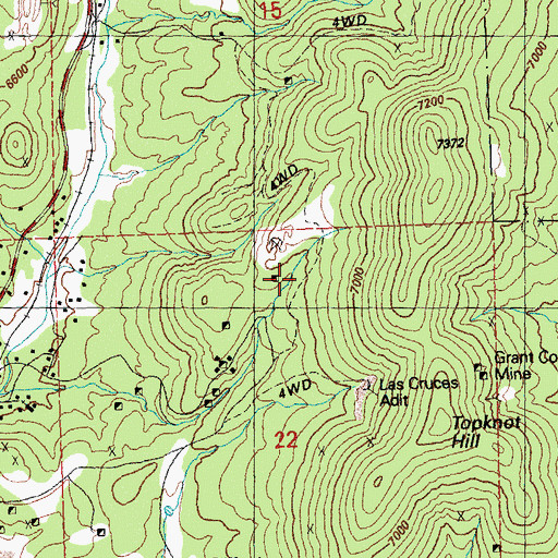 Topographic Map of Link Shaft, NM