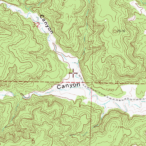 Topographic Map of Lion Canyon, NM