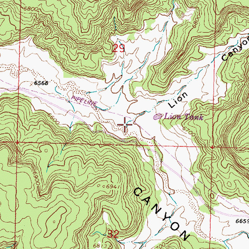 Topographic Map of Lion Canyon, NM
