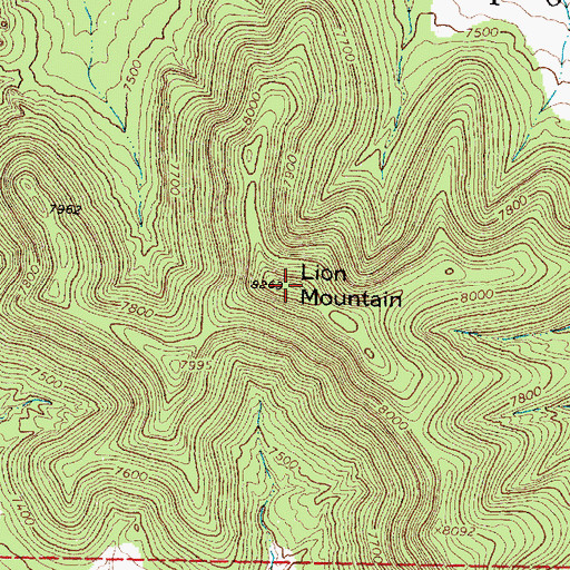 Topographic Map of Lion Mountain, NM