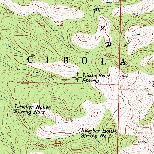 Topographic Map of Little Bear Spring, NM