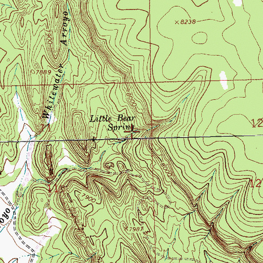 Topographic Map of Little Bear Spring, NM