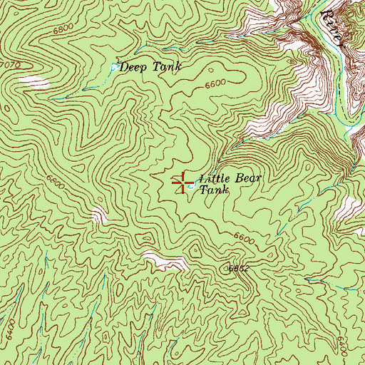 Topographic Map of Little Bear Tank, NM