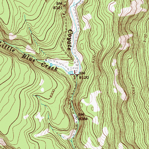 Topographic Map of Little Blue Creek, NM