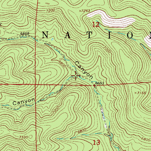 Topographic Map of Little Carr Canyon, NM