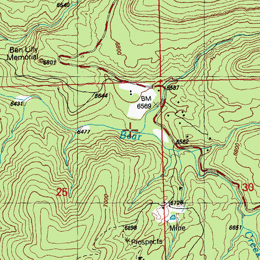 Topographic Map of Little Cherry Creek, NM