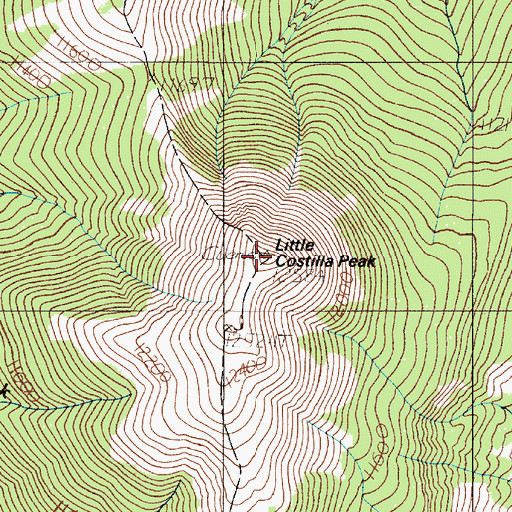 Topographic Map of Little Costilla Peak, NM