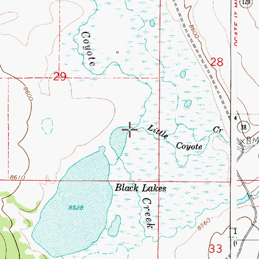 Topographic Map of Little Coyote Creek, NM