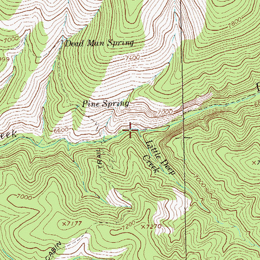 Topographic Map of Little Deep Creek, NM