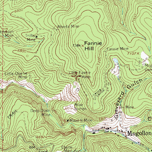 Topographic Map of Little Fannie Mine, NM