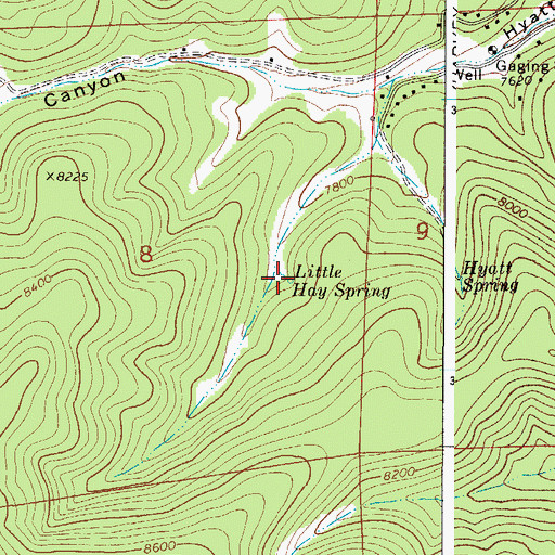 Topographic Map of Little Hay Spring, NM